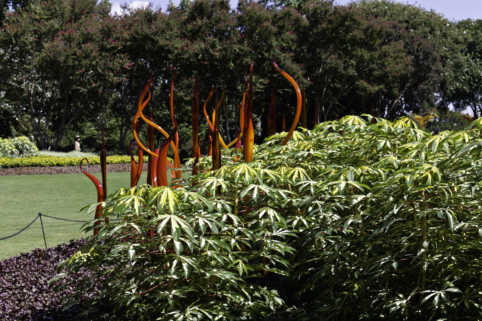 Chihuly Glass Dallas Texas Arboritum